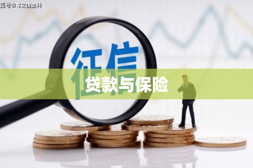 庄浪贷款与保险