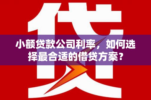 庄浪小额贷款公司利率，如何选择最合适的借贷方案？