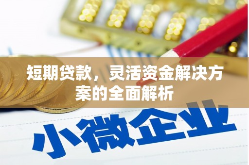 庄浪短期贷款，灵活资金解决方案的全面解析