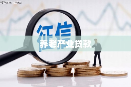 庄浪养老产业贷款