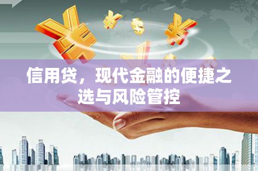 庄浪信用贷，现代金融的便捷之选与风险管控