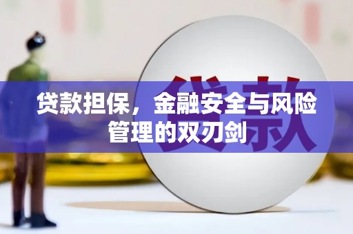 庄浪贷款担保，金融安全与风险管理的双刃剑