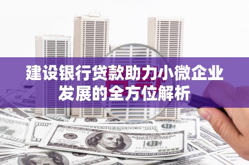 庄浪建设银行贷款助力小微企业发展的全方位解析