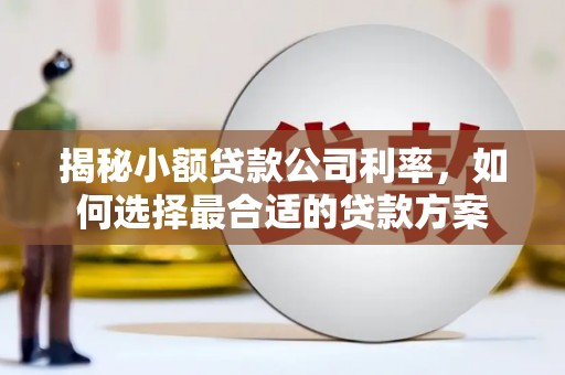 庄浪揭秘小额贷款公司利率，如何选择最合适的贷款方案