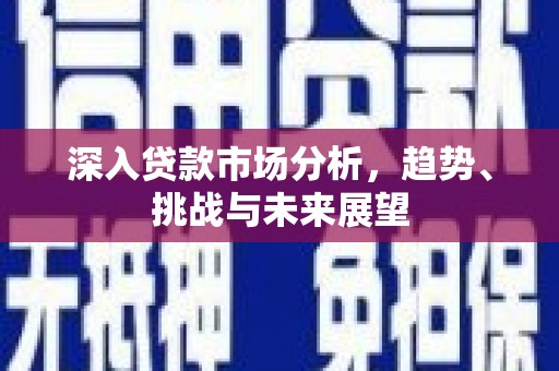 庄浪深入贷款市场分析，趋势、挑战与未来展望