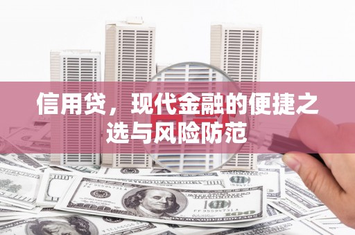 庄浪信用贷，现代金融的便捷之选与风险防范