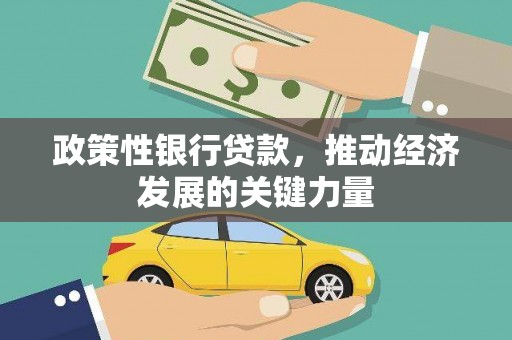庄浪政策性银行贷款，推动经济发展的关键力量