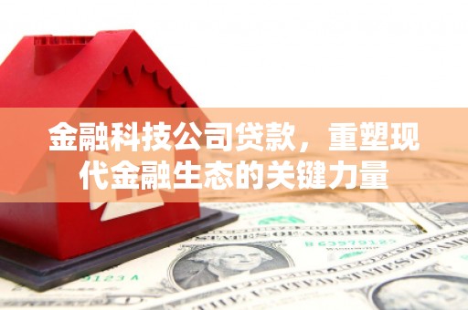 庄浪金融科技公司贷款，重塑现代金融生态的关键力量