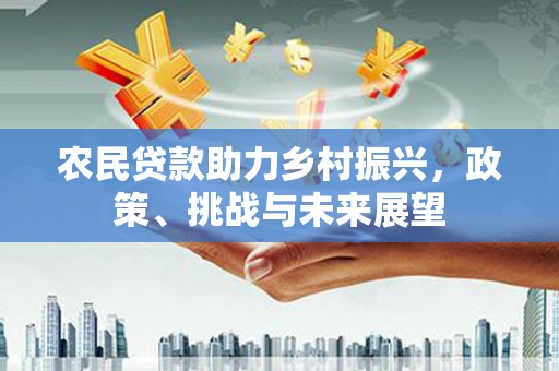 庄浪农民贷款助力乡村振兴，政策、挑战与未来展望