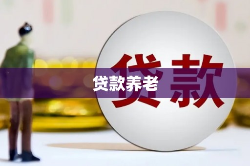 庄浪贷款养老