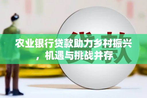 庄浪农业银行贷款助力乡村振兴，机遇与挑战并存