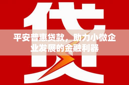 庄浪平安普惠贷款，助力小微企业发展的金融利器
