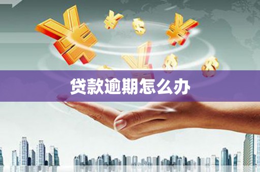 庄浪贷款逾期怎么办