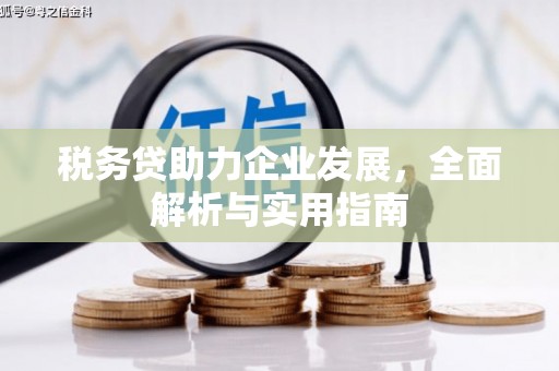 庄浪税务贷助力企业发展，全面解析与实用指南