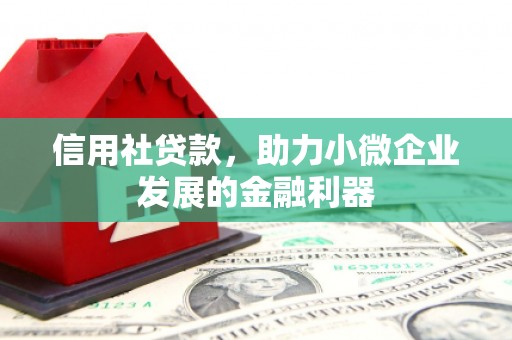 庄浪信用社贷款，助力小微企业发展的金融利器