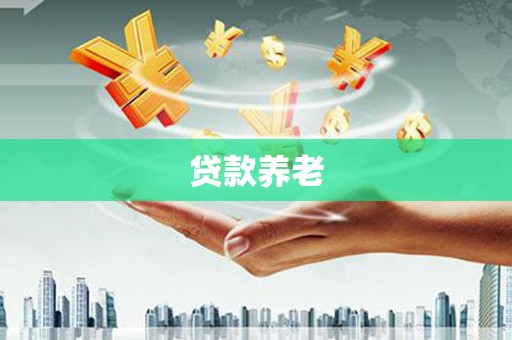 庄浪贷款养老