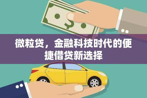 庄浪微粒贷，金融科技时代的便捷借贷新选择