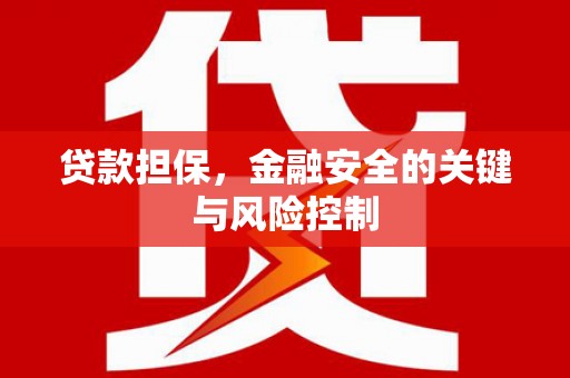 庄浪贷款担保，金融安全的关键与风险控制