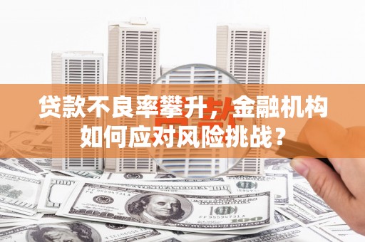 庄浪贷款不良率攀升，金融机构如何应对风险挑战？