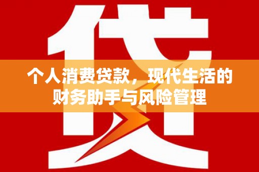 庄浪个人消费贷款，现代生活的财务助手与风险管理
