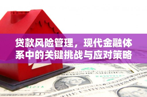 庄浪贷款风险管理，现代金融体系中的关键挑战与应对策略