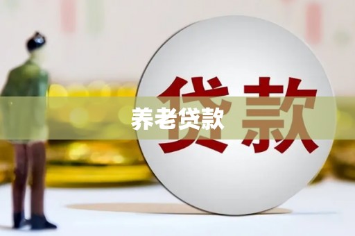 庄浪养老贷款