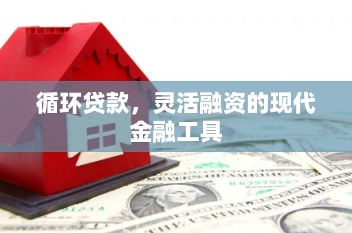庄浪循环贷款，灵活融资的现代金融工具