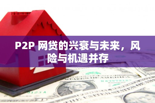 庄浪P2P 网贷的兴衰与未来，风险与机遇并存