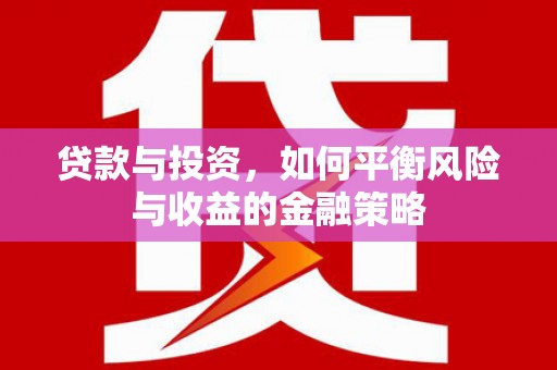 庄浪贷款与投资，如何平衡风险与收益的金融策略