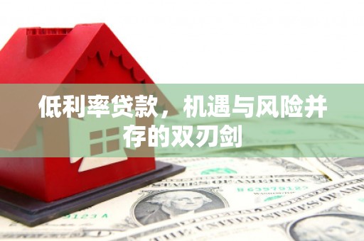 庄浪低利率贷款，机遇与风险并存的双刃剑