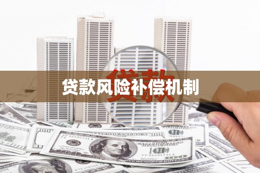 庄浪贷款风险补偿机制