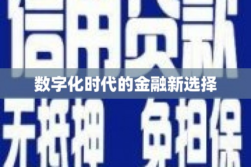 庄浪数字化时代的金融新选择