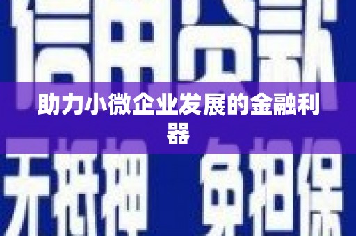 庄浪助力小微企业发展的金融利器