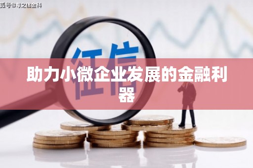 庄浪助力小微企业发展的金融利器