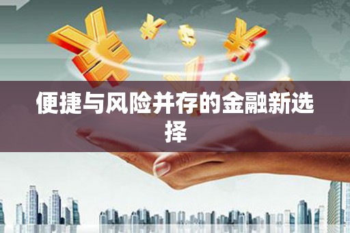 庄浪便捷与风险并存的金融新选择