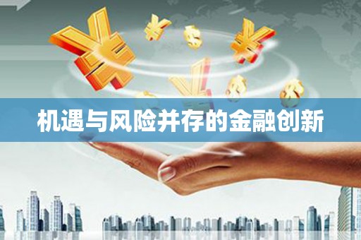 庄浪机遇与风险并存的金融创新