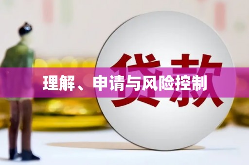 庄浪理解、申请与风险控制