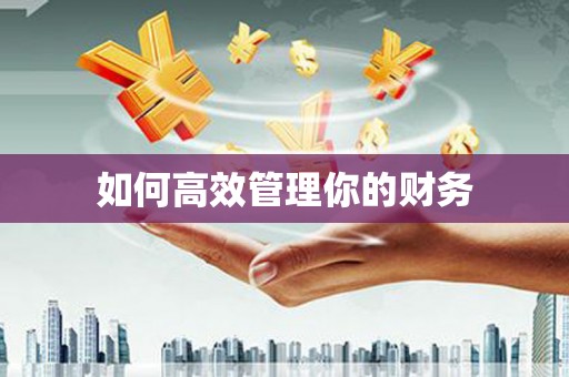 庄浪如何高效管理你的财务