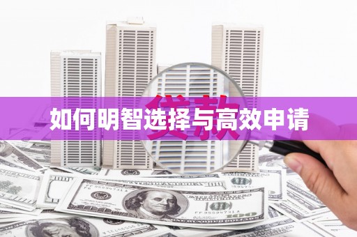 庄浪如何明智选择与高效申请