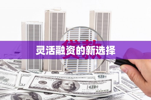 庄浪灵活融资的新选择