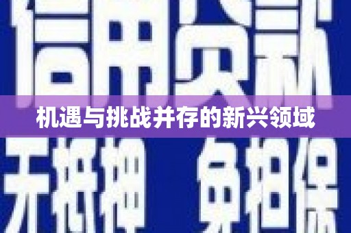 庄浪机遇与挑战并存的新兴领域