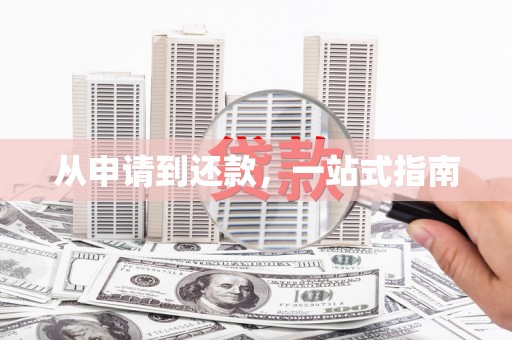 庄浪从申请到还款，一站式指南