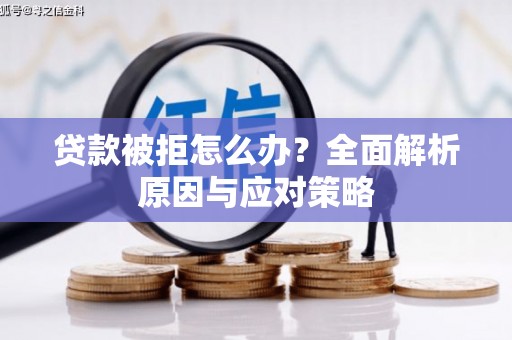 庄浪贷款被拒怎么办？全面解析原因与应对策略