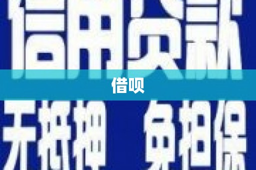 庄浪借呗