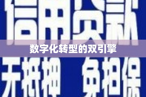 庄浪数字化转型的双引擎