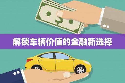 庄浪解锁车辆价值的金融新选择
