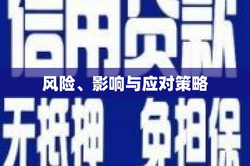 庄浪风险、影响与应对策略
