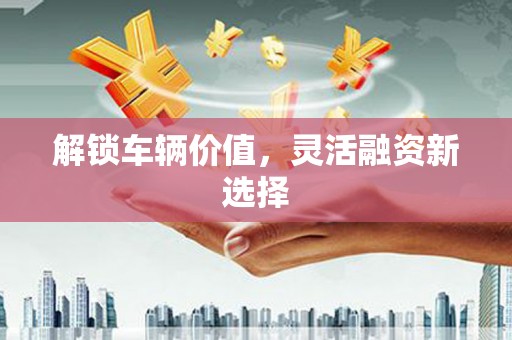 庄浪解锁车辆价值，灵活融资新选择