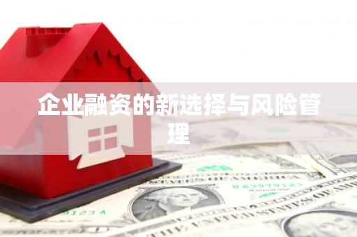 庄浪企业融资的新选择与风险管理