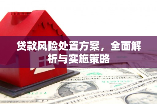 庄浪贷款风险处置方案，全面解析与实施策略